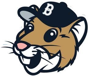 Bellingham Bells Hamster (logo)